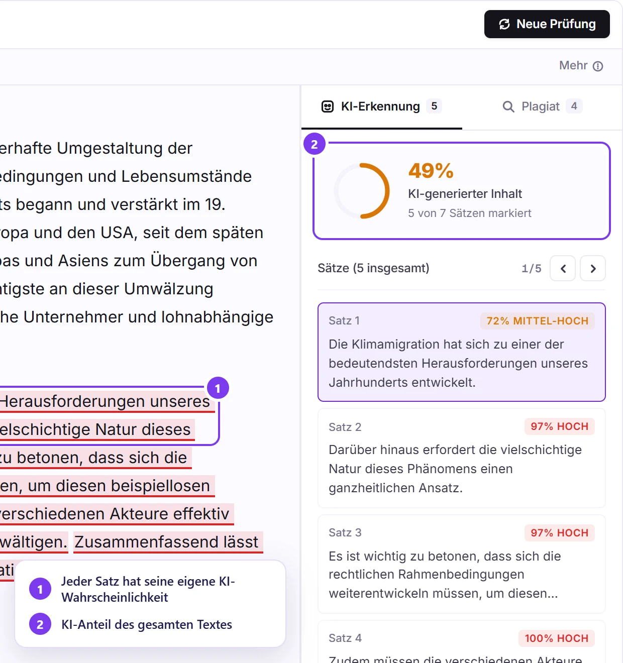 Bericht der KI-Erkennung: markierte Sätze im Text, 49 % KI und die Liste der markierten Sätze