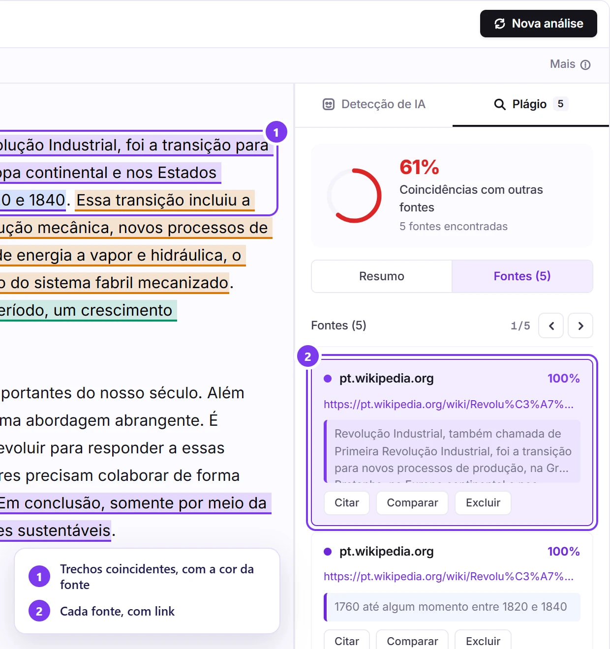 Relatório de plágio: trechos sublinhados com a cor da fonte, 61% de coincidência e cada fonte com link